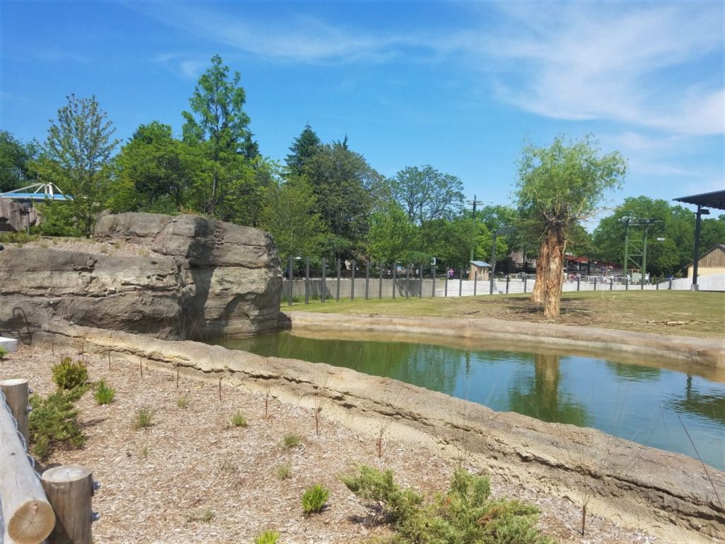 The African Elephant exhibit at the Milwaukee County Zoo features a a simulated earth bank watering hole surrounded by trees, brush, shade structures, and cliffs.