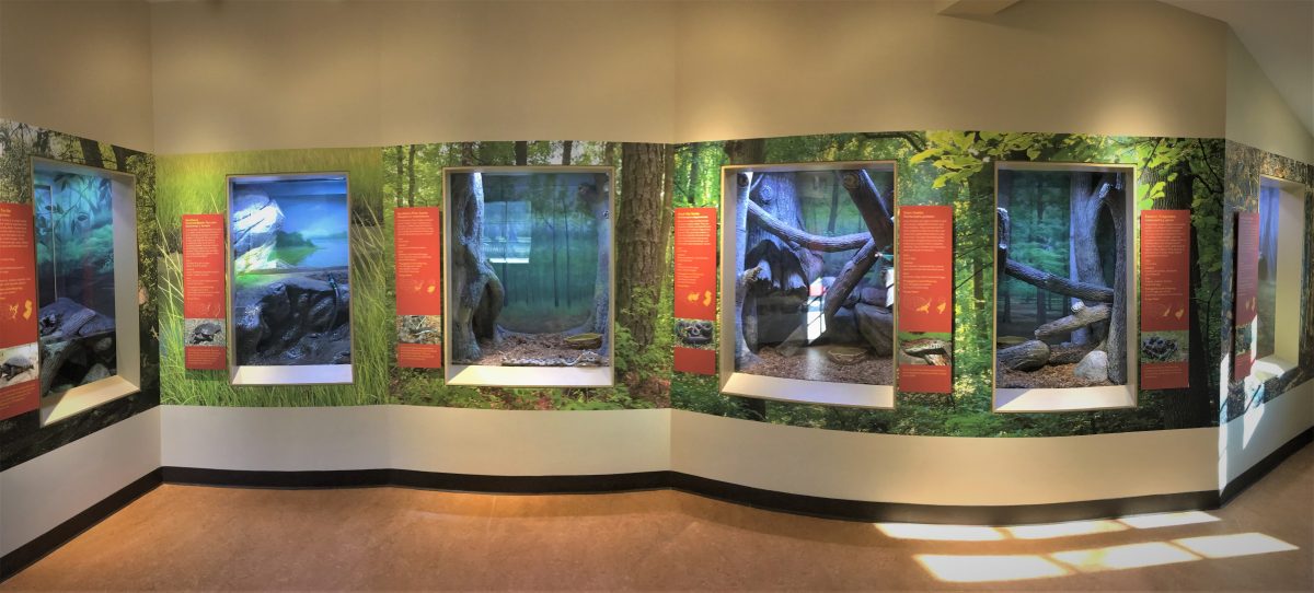 Reptile Exhibits at Huber Woods Park Cost of Wisconsin, Inc.