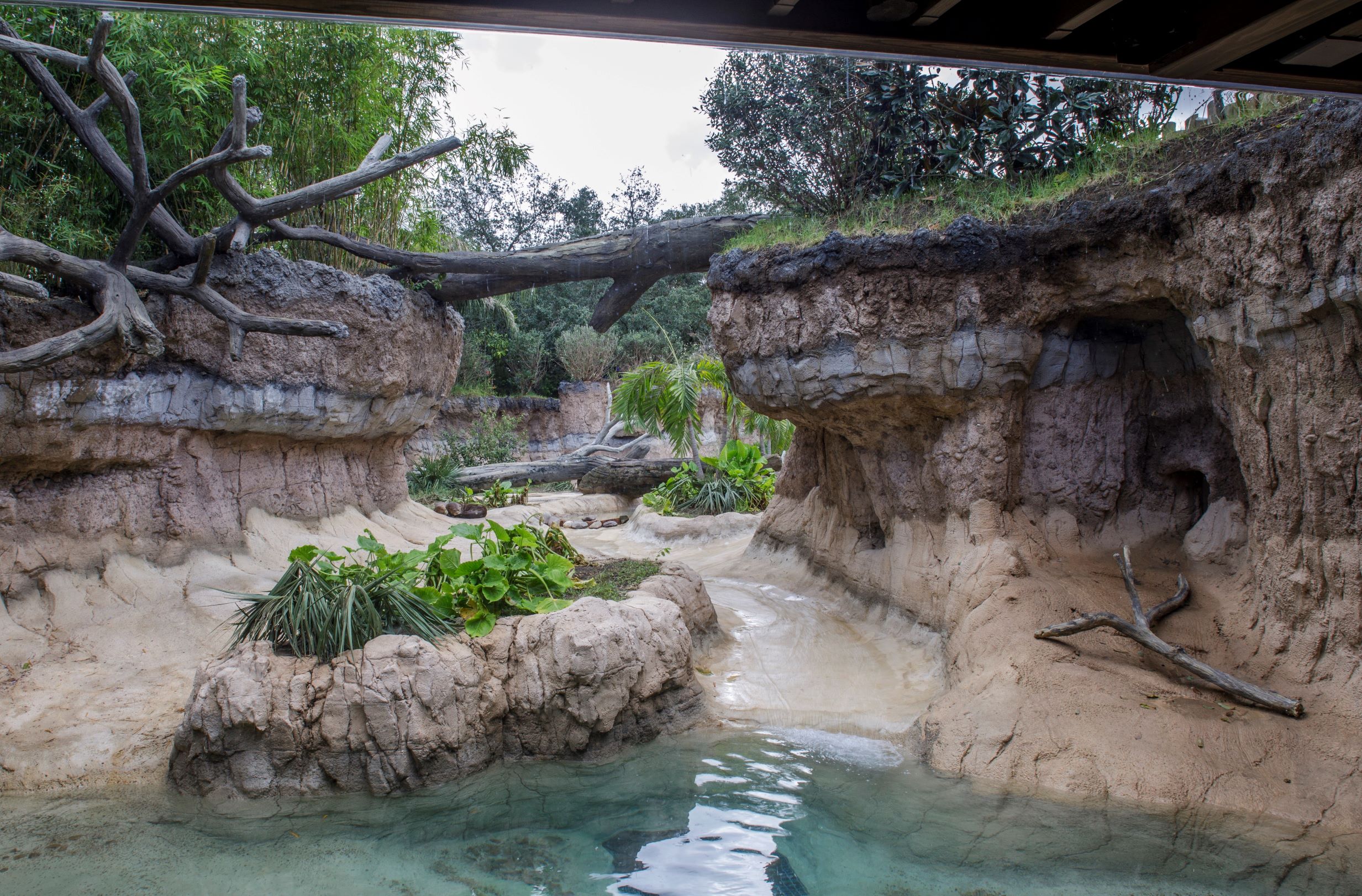 Pantanal Zoological Exhibit at Houston Zoo COST of Wisconson