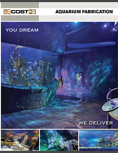 Aquarium-Fabrication-221