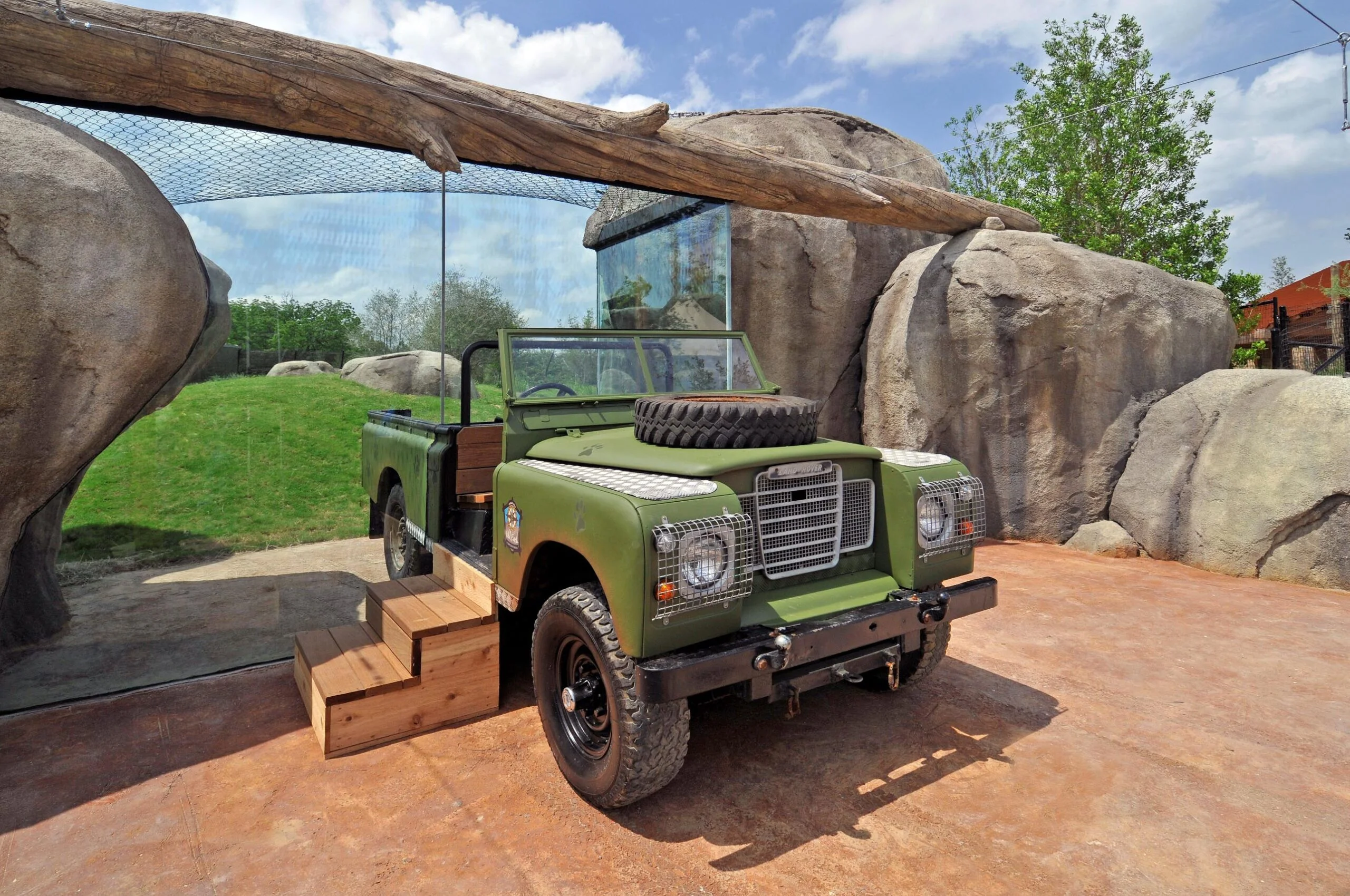 Dallas zoo low res A safari vehicle sits outside and outdoor animal habitat. The car is a convertible jeep painted a hunter green. There are wooden steps leading up to the car so patrons can get inside the vehicle.