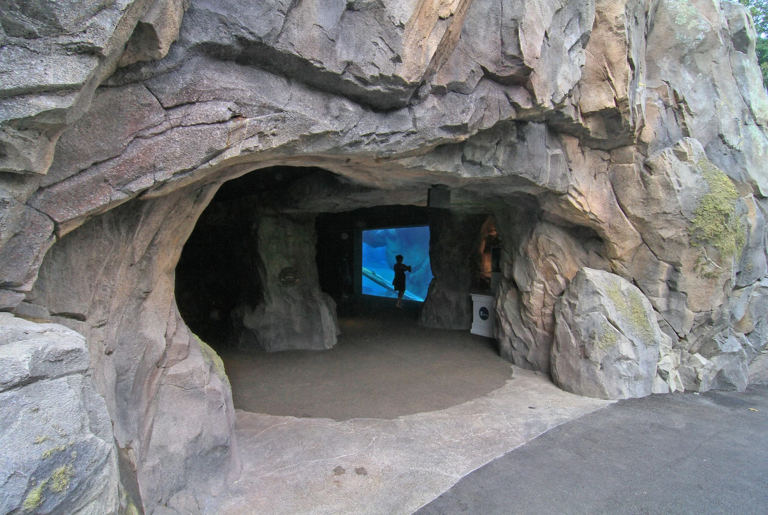Nzssl4 hi res A young child stands inside an expansive cave constructed with artificial rockwork. Deep inside the cave is a glass window that looks into the underwater pool in an animal habitat at the zoo.