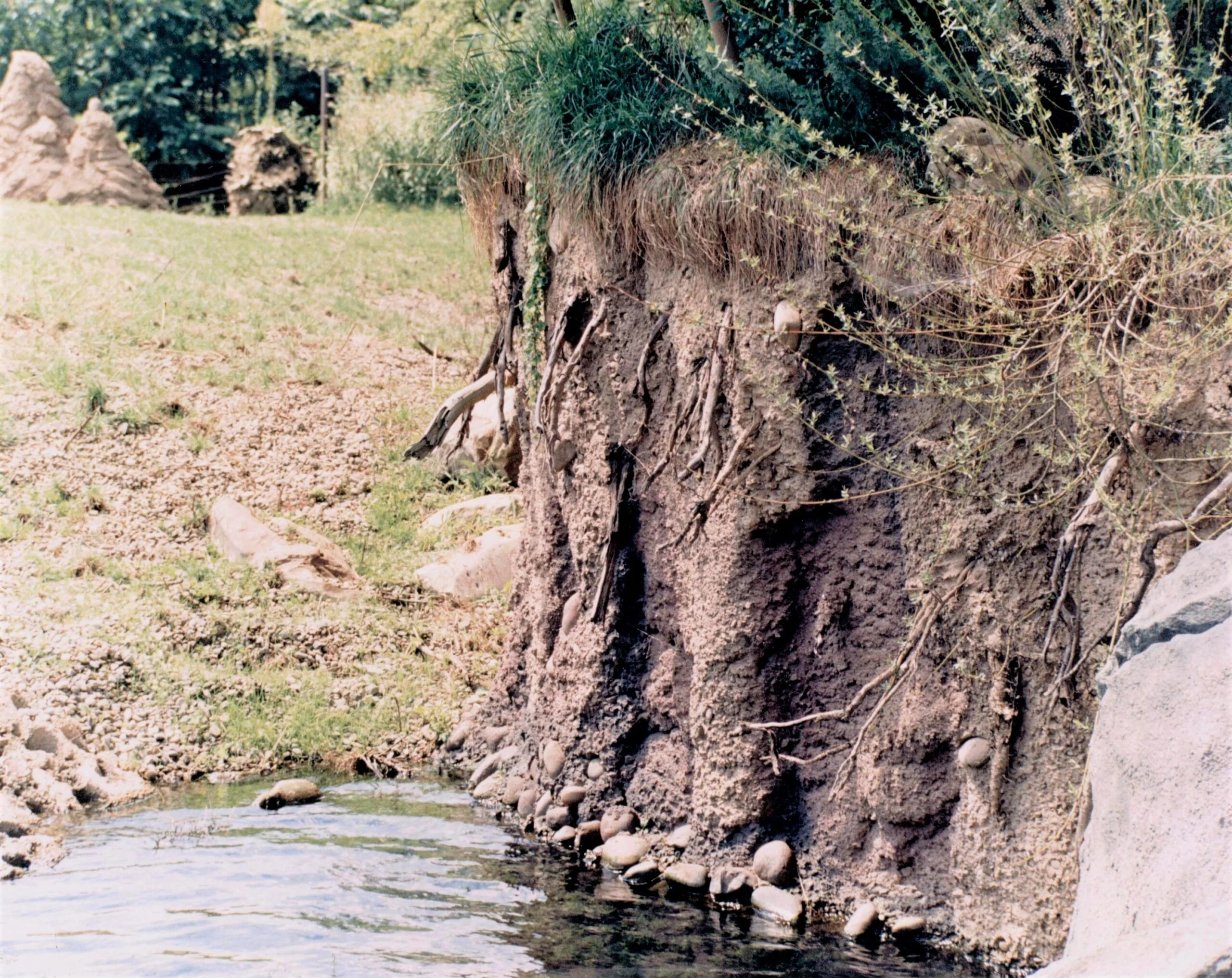 Pittsburg earth bank This earth bank at the Pittsburg is featured in an outdoor animal habitat. The earth bank towers over a river, and features artificial rocks, vines, and dirt to give it an authentically natural look.